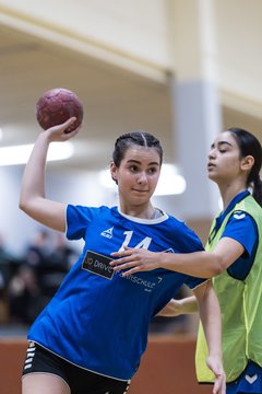 Bild 177 - wBJ TSV Ellerau - HSG Stoertal Hummeln : Ergebnis: 26:19